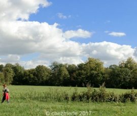 Plaine de SORQUES